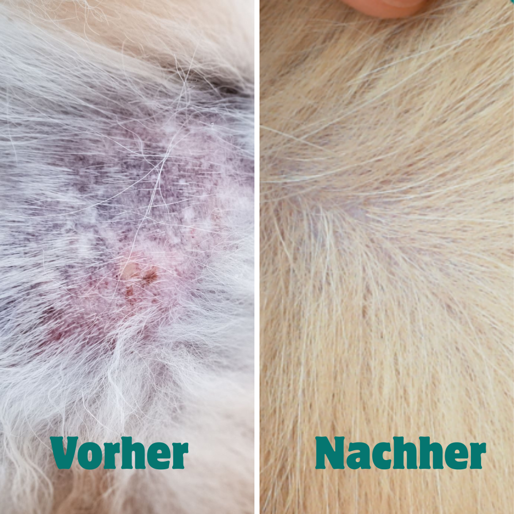 Anti-Juckreiz-Spray | 100 % natürlich