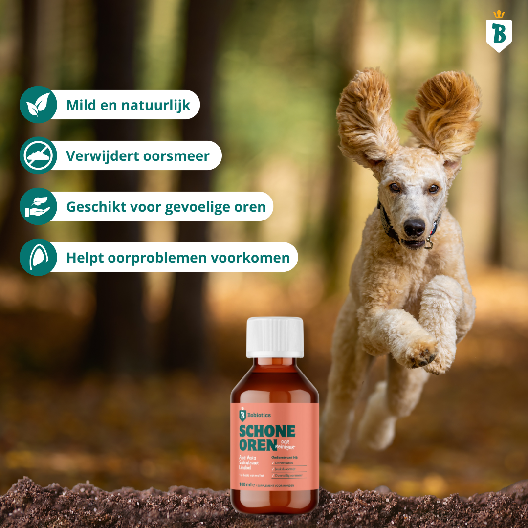 Natürlicher Ohrenreiniger