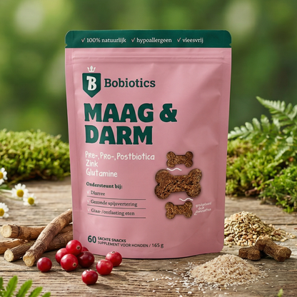 Probiotika Magen & Darm