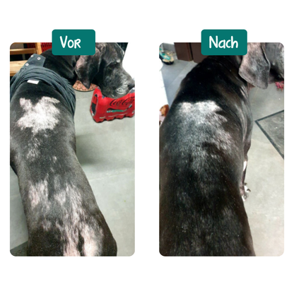 Anti-Juckreiz Probiotikum | 60 Snacks für Hunde | 100 % natürlich