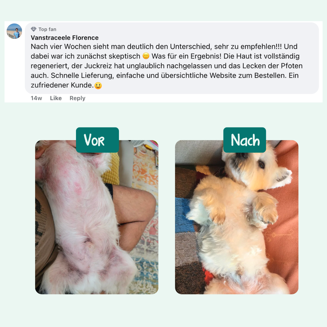 Anti-Juckreiz Probiotikum | 60 Snacks für Hunde | 100 % natürlich