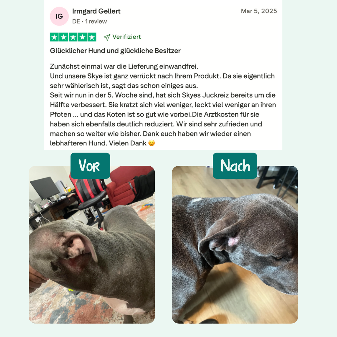 Anti-Juckreiz Probiotikum | 60 Snacks für Hunde | 100 % natürlich
