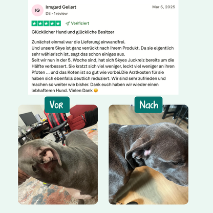 Anti-Juckreiz Probiotikum | 60 Snacks für Hunde | 100 % natürlich
