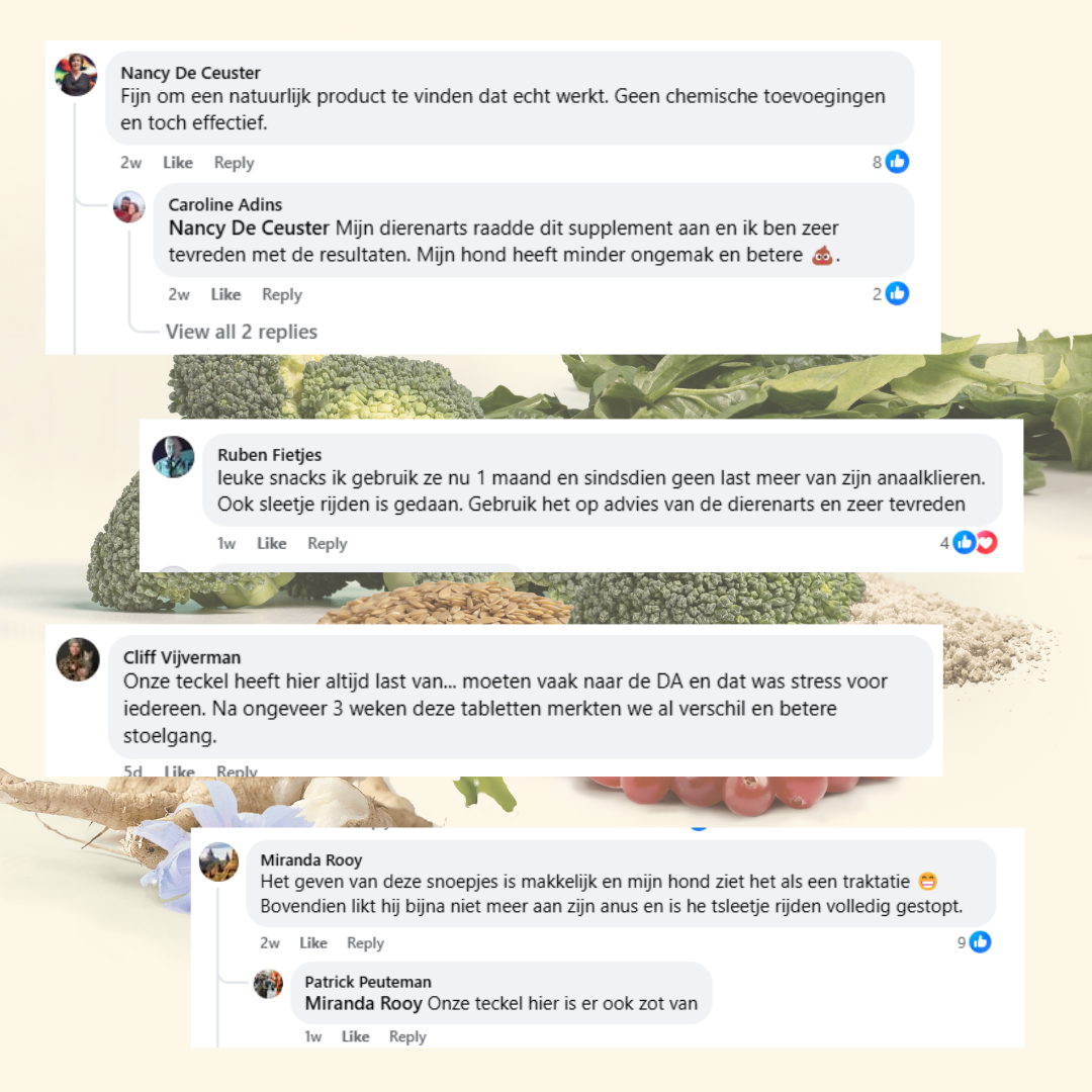 Anti-Analbeutel Probiotika