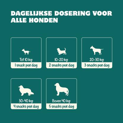 Anti-Analbeutel Probiotika