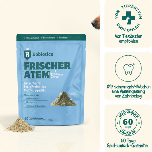 Frischer Atem & Zähne | 60 Messlöffel | 100 % natürlich