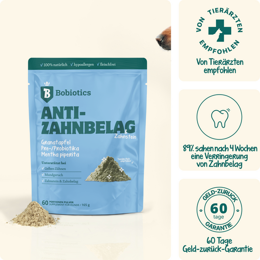 Frischer Atem & Zähne | 60 Messlöffel | 100 % natürlich