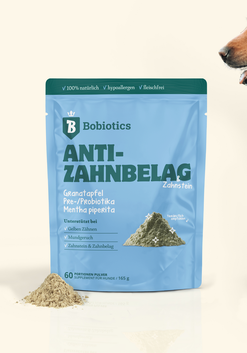 Frischer Atem & Zähne | 60 Messlöffel | 100 % natürlich