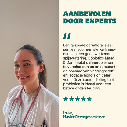 Probiotika Magen & Darm