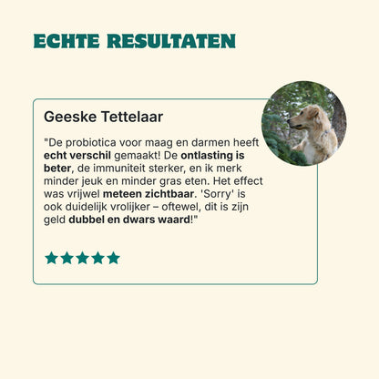 Probiotika Magen & Darm