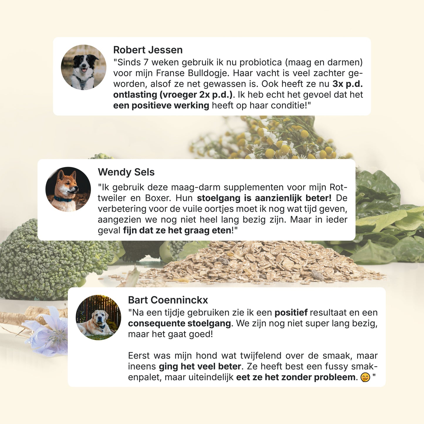 Probiotika Magen & Darm