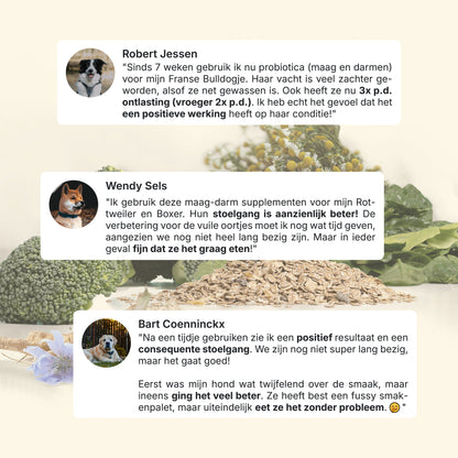 Probiotika Magen & Darm