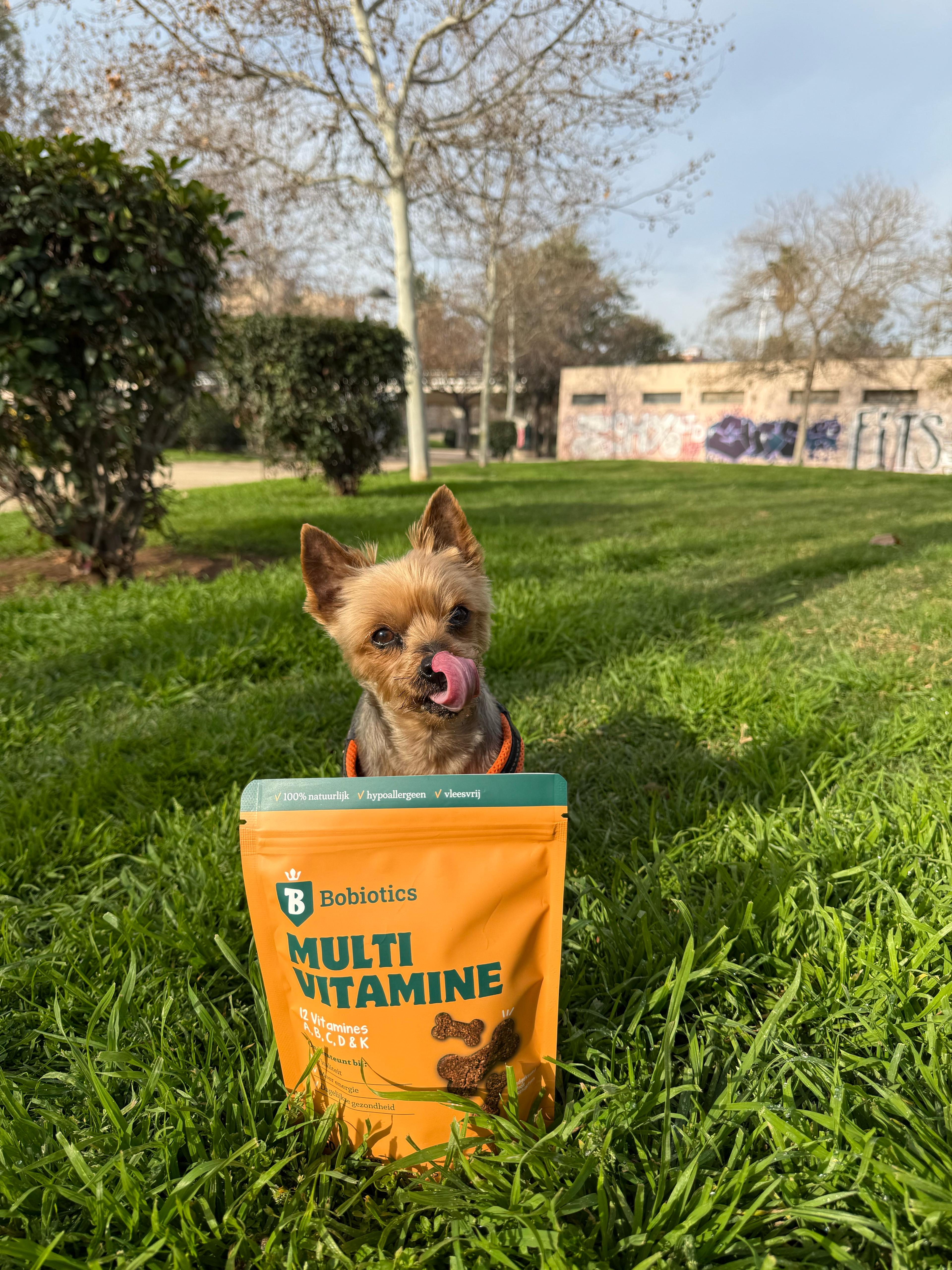 Dog enjoying Multi Vitamine