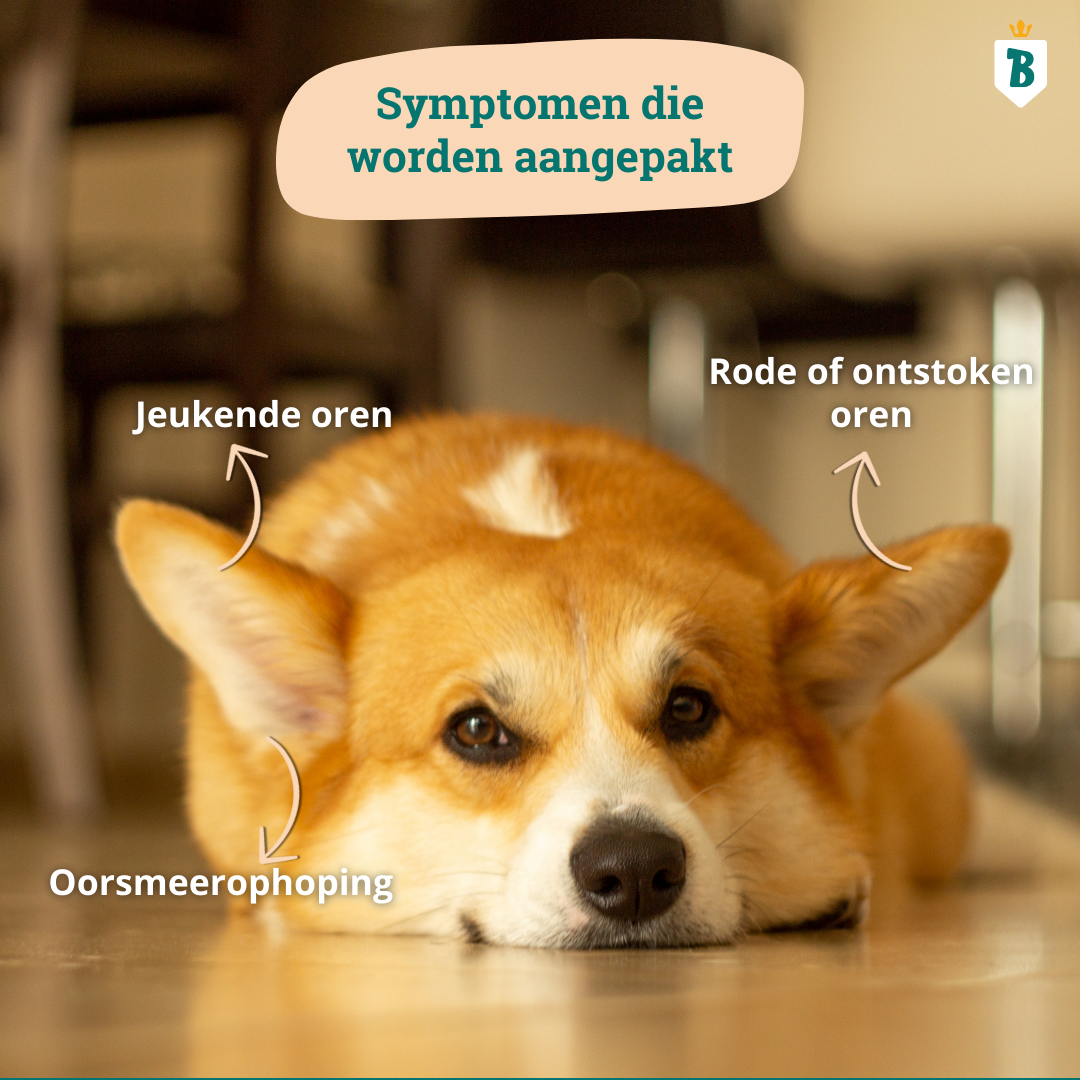 Natürlicher Ohrenreiniger