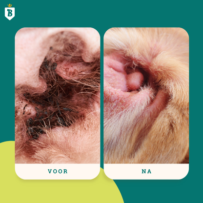 Natürlicher Ohrenreiniger