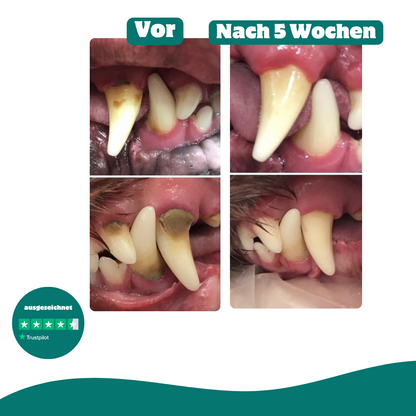 Frischer Atem & Zähne | 60 Messlöffel | 100 % natürlich