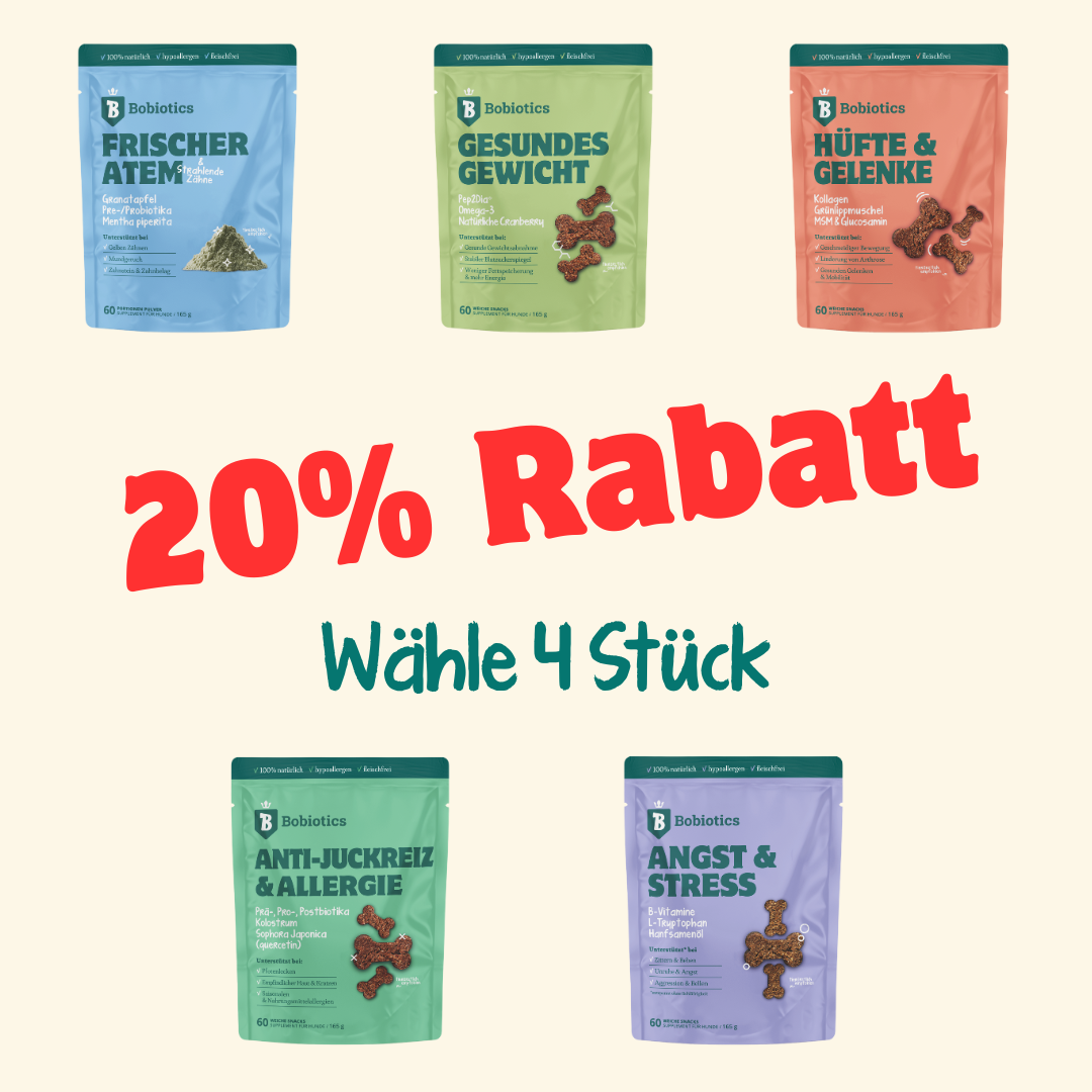 Mix & Match 4 Stück