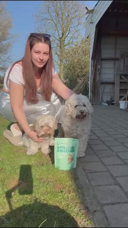 Anti-Juckreiz Probiotikum | 60 Snacks für Hunde | 100 % natürlich